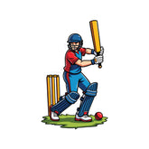 Batsman Witty Sticker