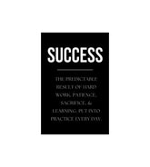 Success Quote Wall Decor Witty Poster
